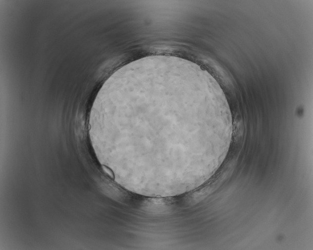 X0000116850381201001191645