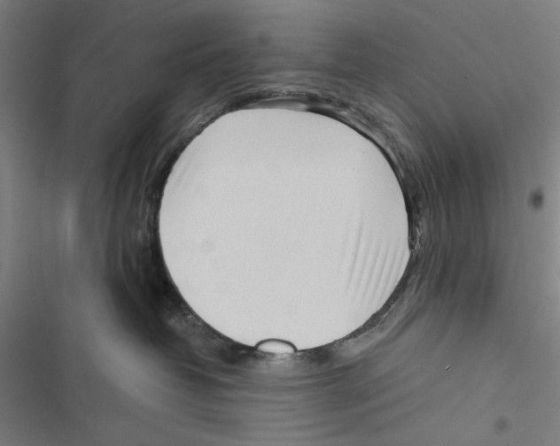 X0000116850382201001191645