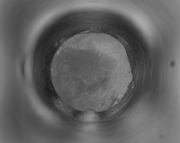 X0000116850383201001191645