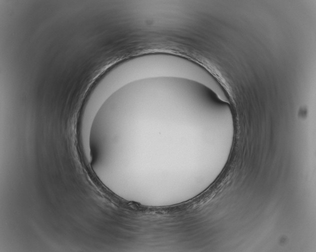 X0000116850386201001191645