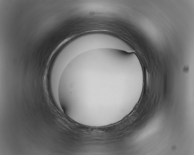 X0000116850387201001191645