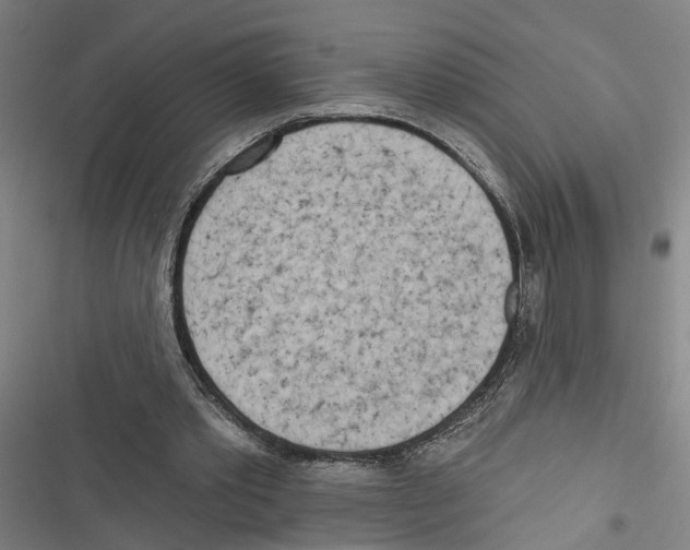 X0000116850389201001191645