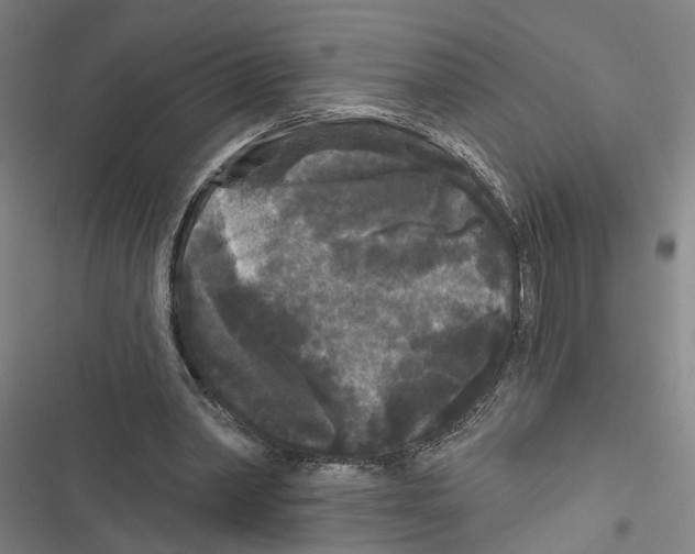 X0000116850390201001191645