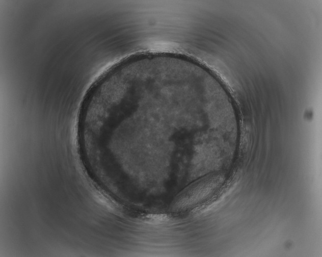 X0000116850391201001191645