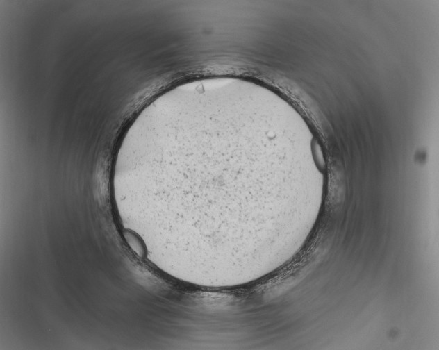 X0000116850393201001191645