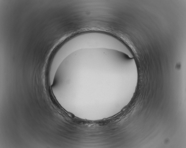X0000116850395201001191645