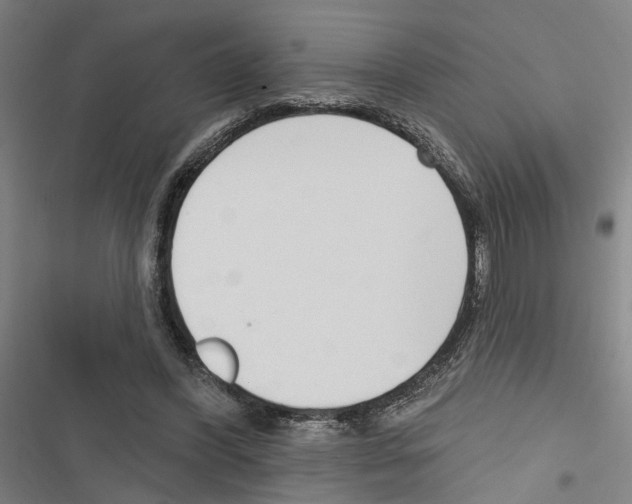 X0000116850396201001191645