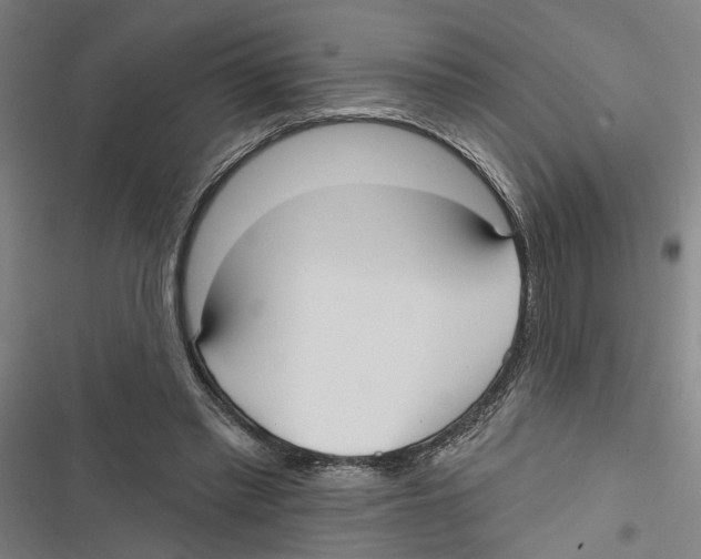 X0000116850397201001191645