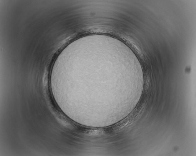 X0000116850398201001191645