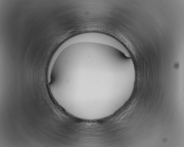 X0000116850401201001191645