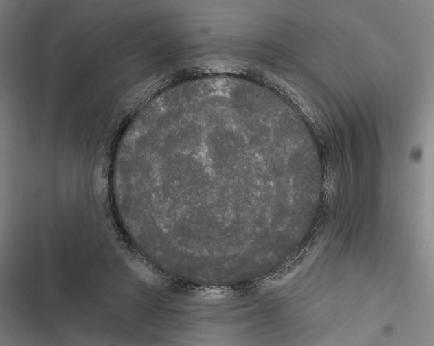 X0000116850402201001191645
