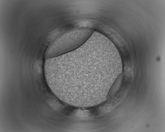 X0000116850403201001191645