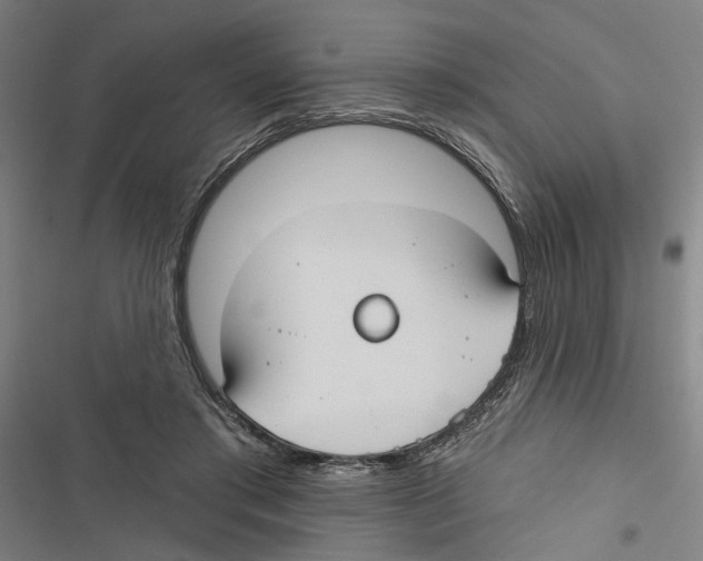 X0000116850405201001191645