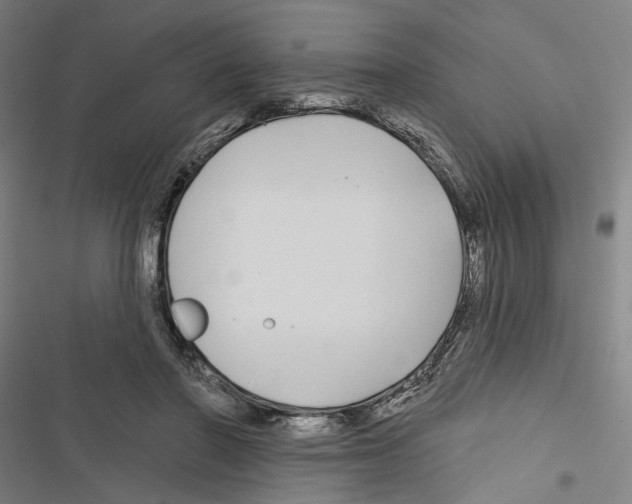 X0000116850406201001191645