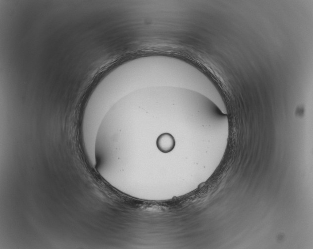 X0000116850407201001191644