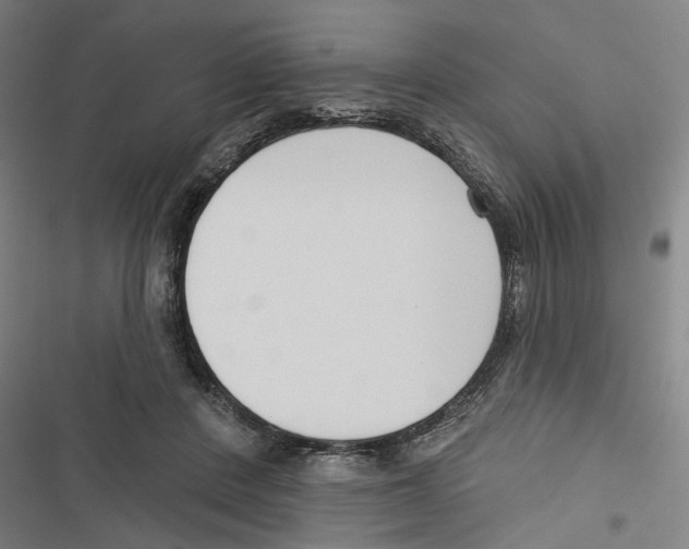 X0000116850408201001191644