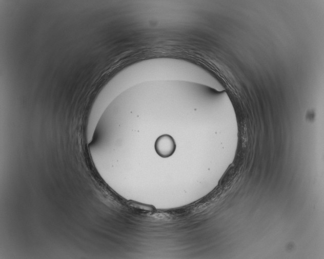 X0000116850409201001191644