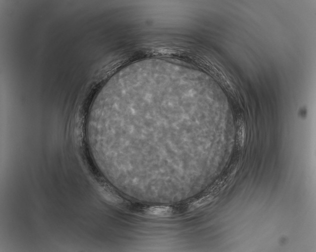 X0000116850410201001191644