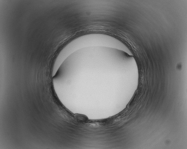 X0000116850411201001191644