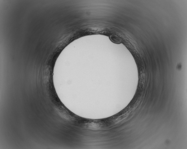 X0000116850412201001191644