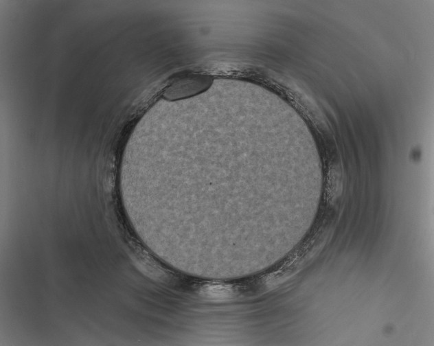 X0000116850413201001191644