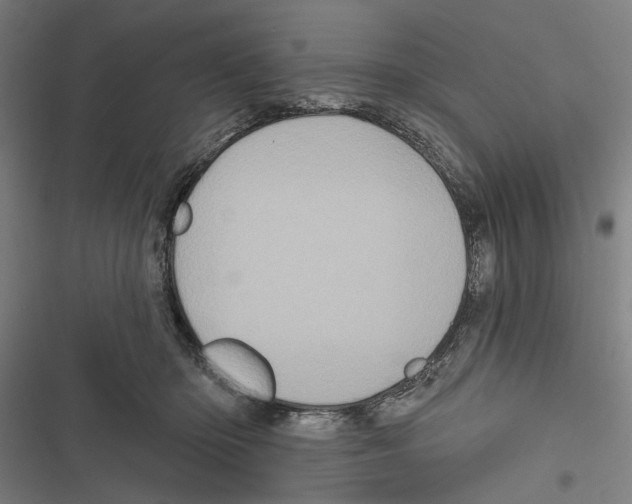 X0000116850414201001191644