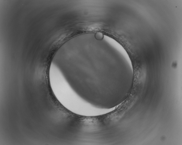 X0000116850415201001191644
