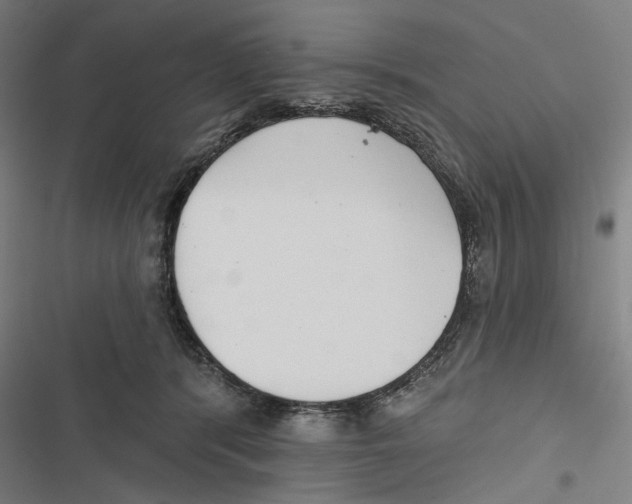 X0000116850416201001191644