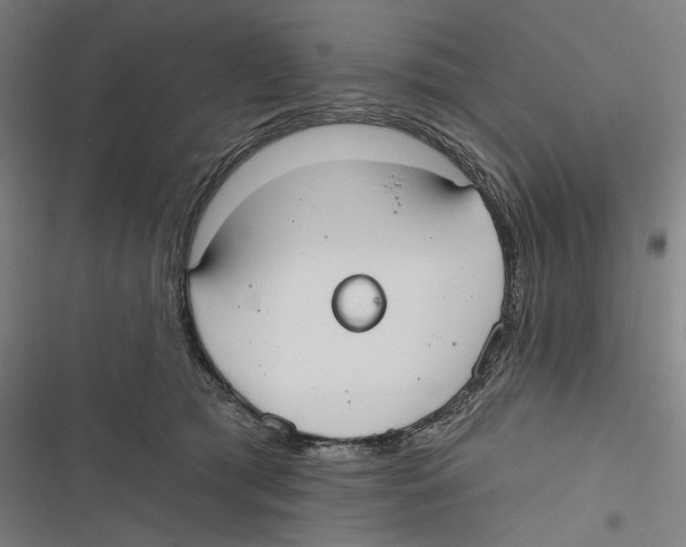 X0000116850417201001191644