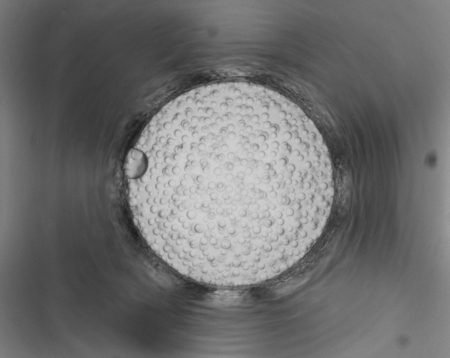 X0000116850418201001191644