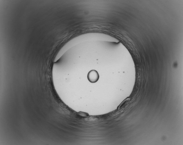 X0000116850419201001191644
