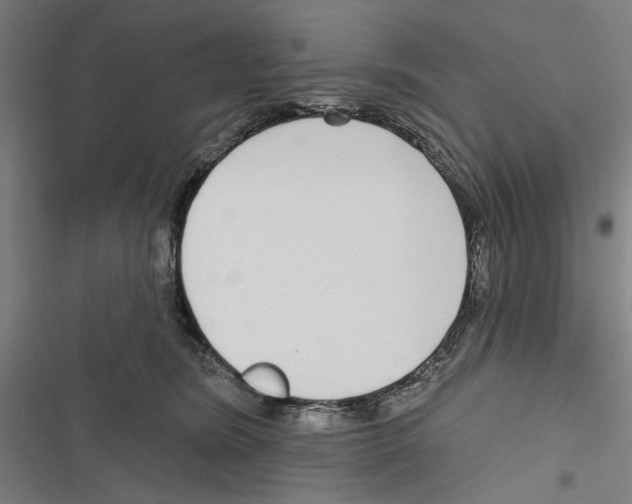 X0000116850420201001191644