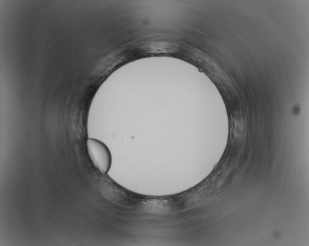 X0000116850422201001191644