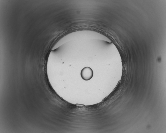 X0000116850423201001191644