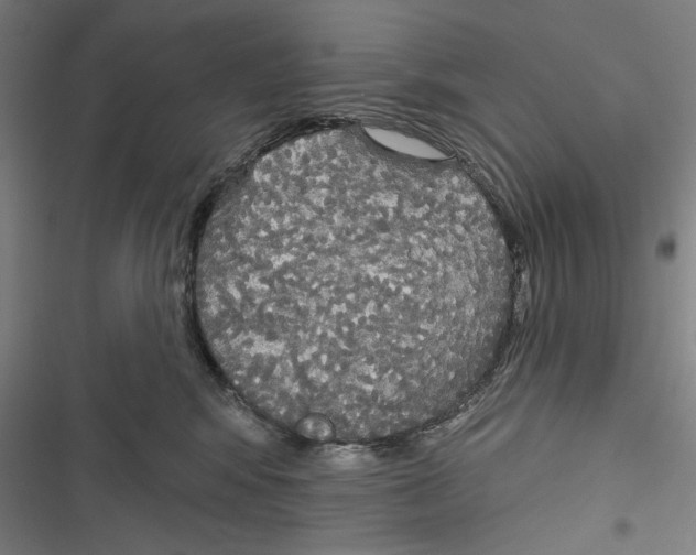 X0000116850424201001191644