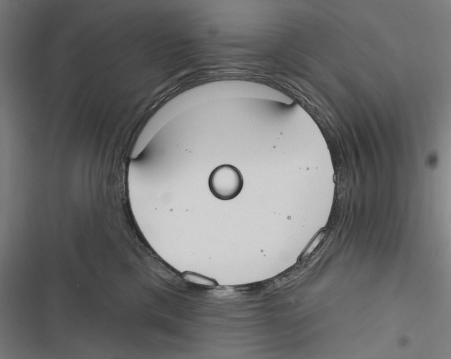 X0000116850425201001191644