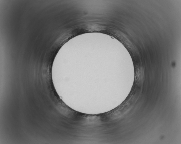 X0000116850426201001191644