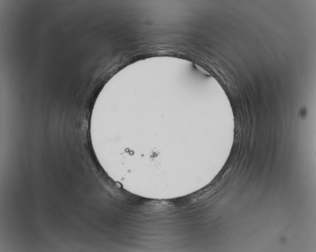 X0000116850427201001191644