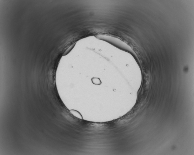 X0000116850428201001191644