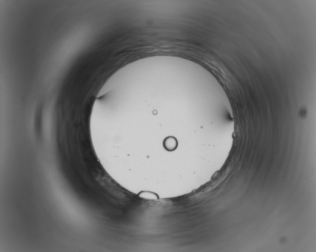 X0000116850429201001191644