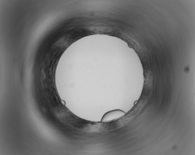 X0000116850430201001191644