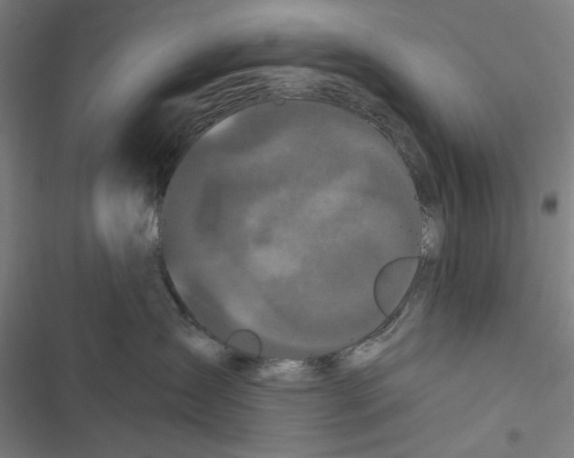 X0000116850431201001191644