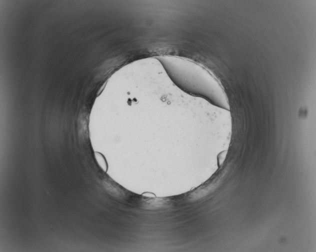 X0000116850432201001191644