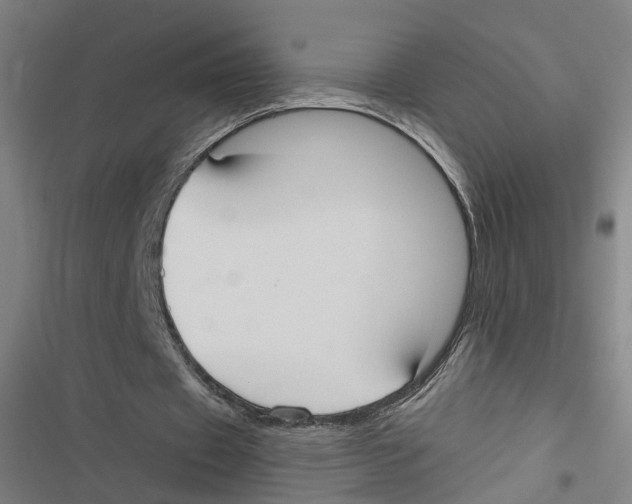 X0000116850433201001191643