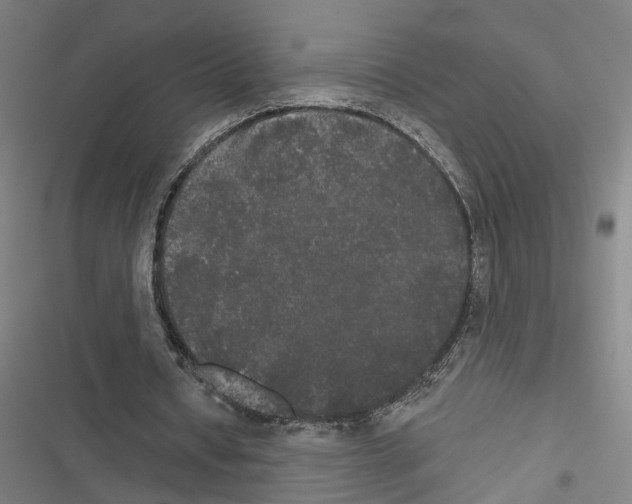 X0000116850434201001191644
