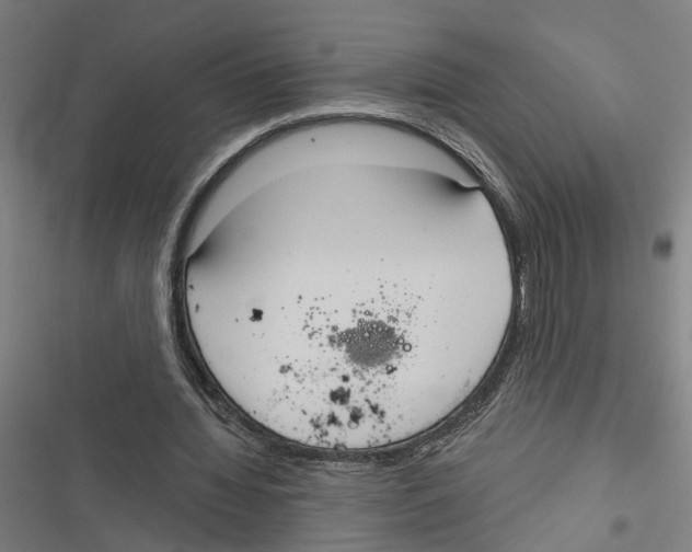 X0000116850436201001191644