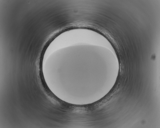 X0000116850438201001191644