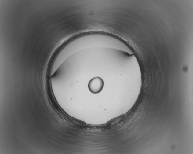 X0000116850440201001191644