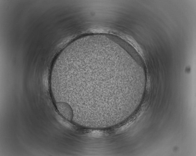 X0000116850441201001191644