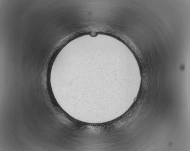 X0000116850442201001191644